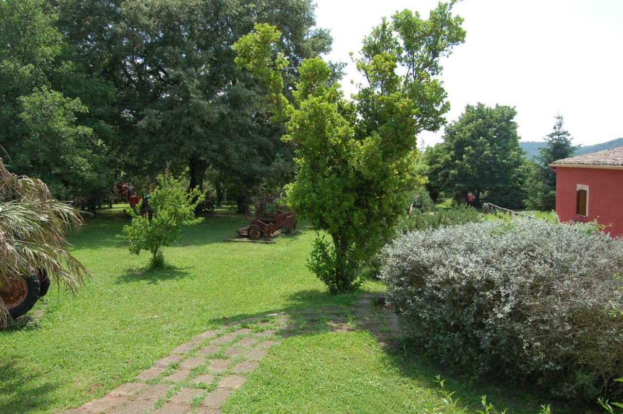Agriturismo Castro Villa Ischia di Castro Bagian luar foto